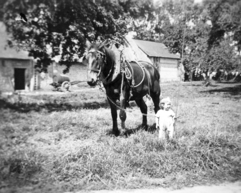 Michel, et le cheval bijoux